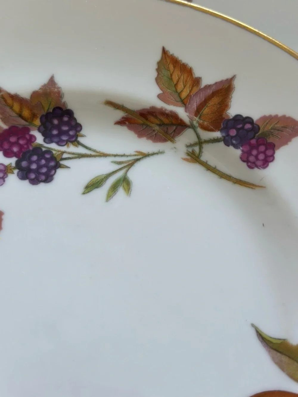 6 Vintage Royal Worcester Evesham Salad Lunch Plates Gold Trim England China